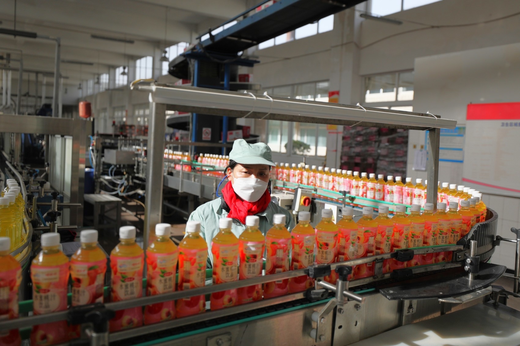 春节假期,广元娃哈哈食品饮料生产线加紧生产. 高志农 摄